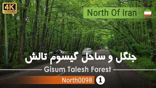 گردش در جنگل و ساحل گیسوم تالش,گیلان,شمال ایران - Gisum Talesh Forest, Gilan, North of Iran
