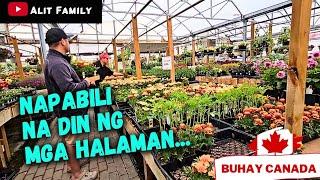 MAY NAHAWA SA BACKYARD GARDENING #buhaycanada #canadavlogs