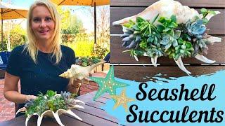 DIY Easy SEASHELL Succulent planter ideas beach theme with MOODY BLOOMS