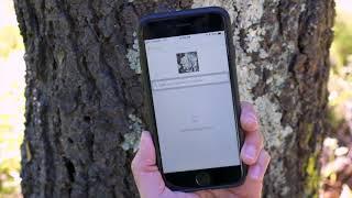 How to Make an Observation on iNaturalist using our Mobile App