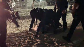 Spring breaker slammed by police in South Beach