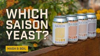 Which Saison Yeast Should I Use? EP34