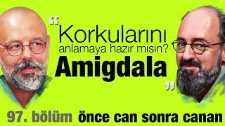 Amigdala: Korkularını Anlamaya Hazır Mısın ? | Önce CAN Sonra CANAN | 97.Bölüm