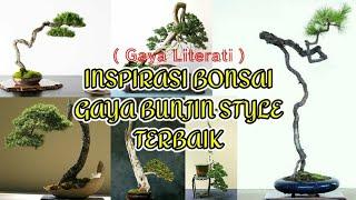 Inspirasi Bonsai Gaya Bunjin Style Terbaik ( Gaya Literati )