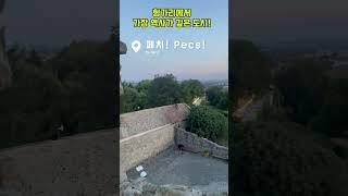 헝가리의 가장 역사가 깊은 도시!페치!탐방하기! #kpop #hungary #헝가리페치#pécs