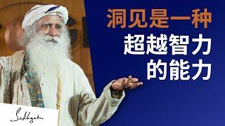 洞见 —— 一种超越智力的能力 | Sadhguru 萨古鲁