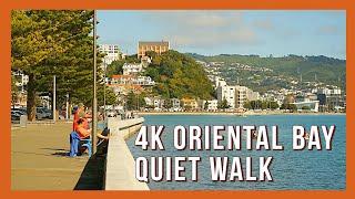 Oriental Bay Wellington 4K Quiet Walk