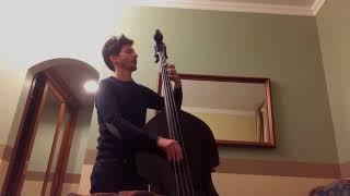 Marco Zenini - After The Gig (Improvisation in E) - solo double bass