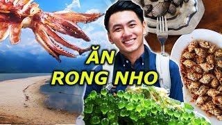 ĂN HẢI SẢN ở Lăng Cô |Du lịch ẩm thực Huế #1