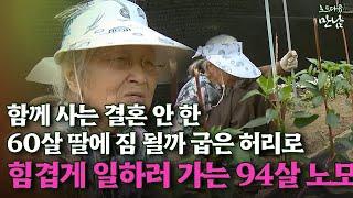 [로드다큐 '만남' 87회③] 함께 사는 결혼 안 한 60살 딸에 짐 될까 굽은 허리로 힘겹게 일하러 가는 94살 노모