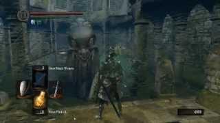 Dark Souls - How to wake up Kingseeker Frampt