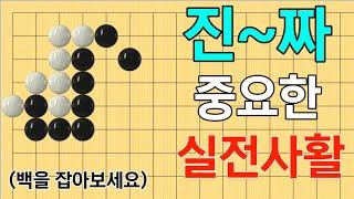 [사활문제풀이 #2] 초급(10~18급), 중급(3~9급), 고급(2급~4단)(총12문제)