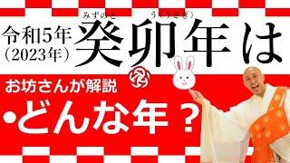 令和5年はこんな年！卯（うさぎ）年にはこんな意味があった。