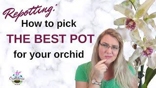 How To Choose The Right Orchid Pot: Size, Material,  & Characteristics