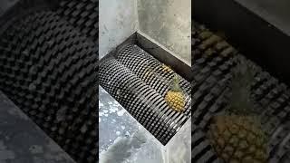 Waste Metal Shredding Machine Video Youtube 2022#Shorts