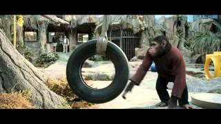 Box Office Briefs: A look at Rise of the Planet of the Apes