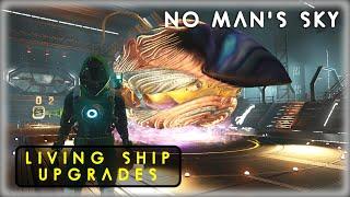 How to get Living Ship UPGRADES and EVOLVE them! No Man's Sky 2024