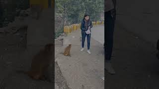 Погода в Пакистане