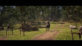 Red Dead 2 - Full Game (Part - 12)