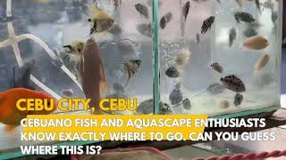 Cebuano fish and aquascape enthusiasts know exactly where to go