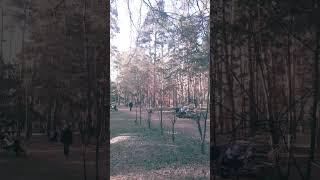 Предпраздничная прогулочка