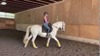 Cartero 20200701 lesson short cantero pirouette start