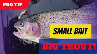 How To Use Small Lures For Big Trout