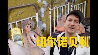 实拍切尔诺贝利，核电站事故后死城现状是怎样的？