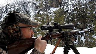 BEZOAR IBEX TURKISH FRONTIER - GARY LEE RYMER