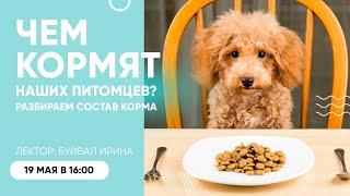 Чем кормят наших питомцев? Разбираем состав корма! Вебинар Школы «Хвост Ньюс»