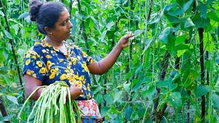 Today we will make some recipes from Long beans for the taste of the village .village kitchen recipe