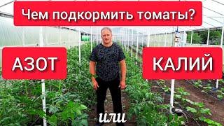 Чем подкормить томаты: азот или калий?