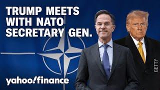 Trump meets NATO Secretary General Rutte at the White House