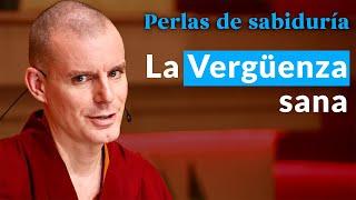 La Vergüenza sana - Perlas de Sabiduría [Lección 9] (PARTE 3)| Lama Rinchen