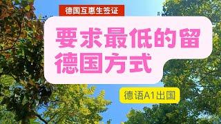 最简单，要求最低，最低费用的留德方式/德国互惠生/Aupair(一年签证）