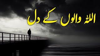 ALLAH Walo Ke Dil | Spiritual Quotes Compilation Video | Listen the Islam Q.K