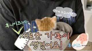 후니이즈네 new baby ?!