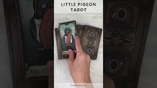 Unboxing the Enchanting Little Pigeon Tarot Deck! #shorts