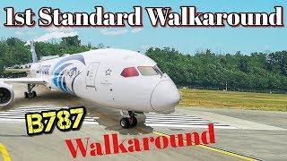 B787 exterior inspection the only standard walkaround (2019) to pass interview, oral exam on youtube