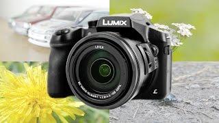 Panasonic Lumix FZ300 Macro and Telemacro Samples in 4K