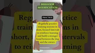 Effective Dog Training Techniques for Behavior Modification #barkingoncommand #pets #yourdog