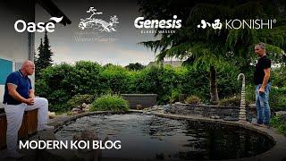 Modern Koi Blog #6083 - Benis sehr alter Kleinteich mit Riesenkoi