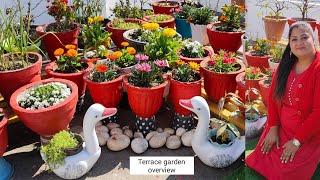 Terrace Garden Overview | Nature lover vinno terrace garden overview | Terrace garden decoration