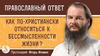 КАК ПО-ХРИСТИАНСКИ ОТНОСИТЬСЯ К БЕССМЫСЛЕННОСТИ ЖИЗНИ ?  Протоиерей Игорь Фомин