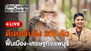 จับลิงลพบุรี 2,000 ตัว ทำได้หรือไม่ ใน 1 ปี | 25 พ.ค.67