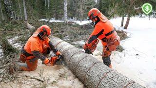 Testissä Husqvarna 560 XPG Mark II -moottorisaha | Metsälehti