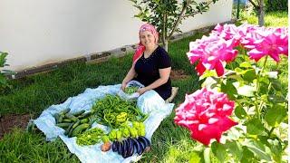 Bahçedeki sebzeleri topladık hepsi doğal organik Tezgahta yerini aldı sizlerde almak istermisiniz