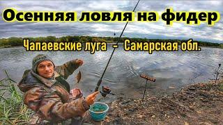 РЫБАЛКА НА ФИДЕР ОСЕНЬЮ/ ЛОВЛЯ ПЛОТВЫ/ЧАПАЕВСКИЕ ЛУГА, САМАРСКОЙ ОБЛАСТИ/ОСЕННЯЯ РЫБАЛКА/ПЛОТВА