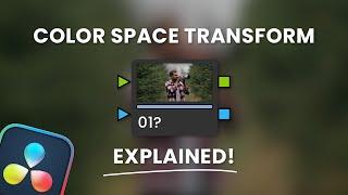 Understanding Color Space Transform in DaVinci Resolve 18