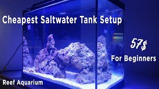 Cheapest Reef Tank Setup for Beginners l Nano Saltwater Aquarium